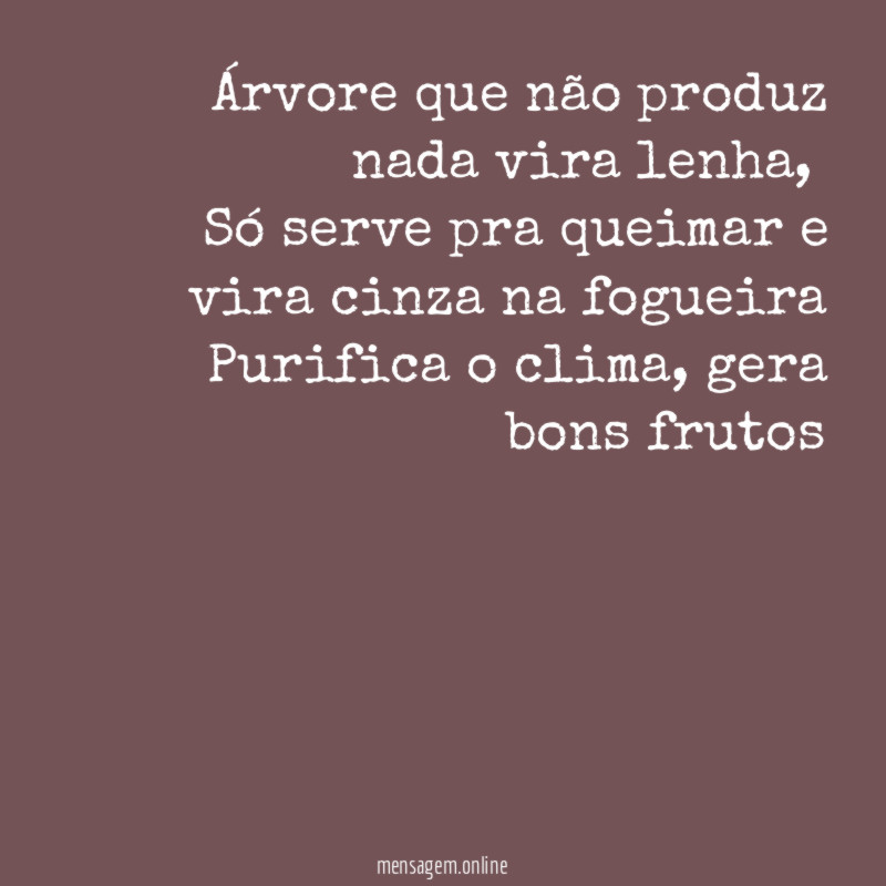 Árvore que não produz nada vira lenha