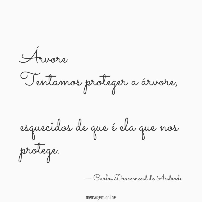 Árvore
Tentamos proteger a árvore,
esquecidos de que é ela que nos protege.