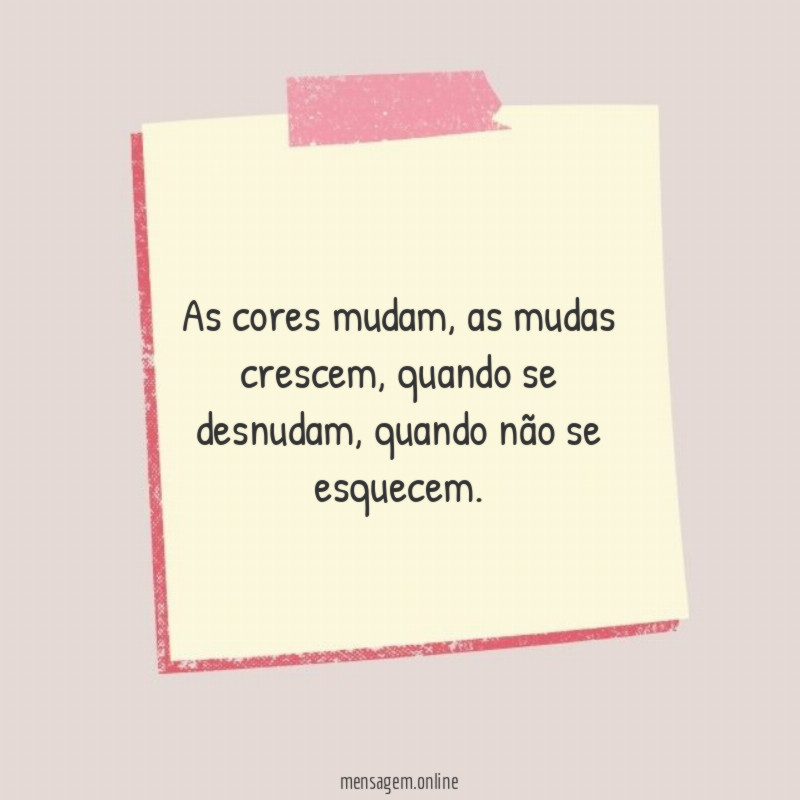 As cores mudam