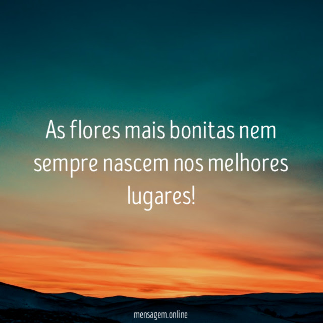 As flores mais bonitas nem sempre nascem nos melhores lugares