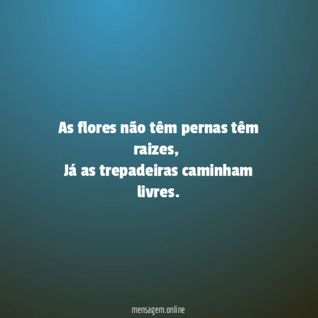 As flores não têm pernas têm raizes