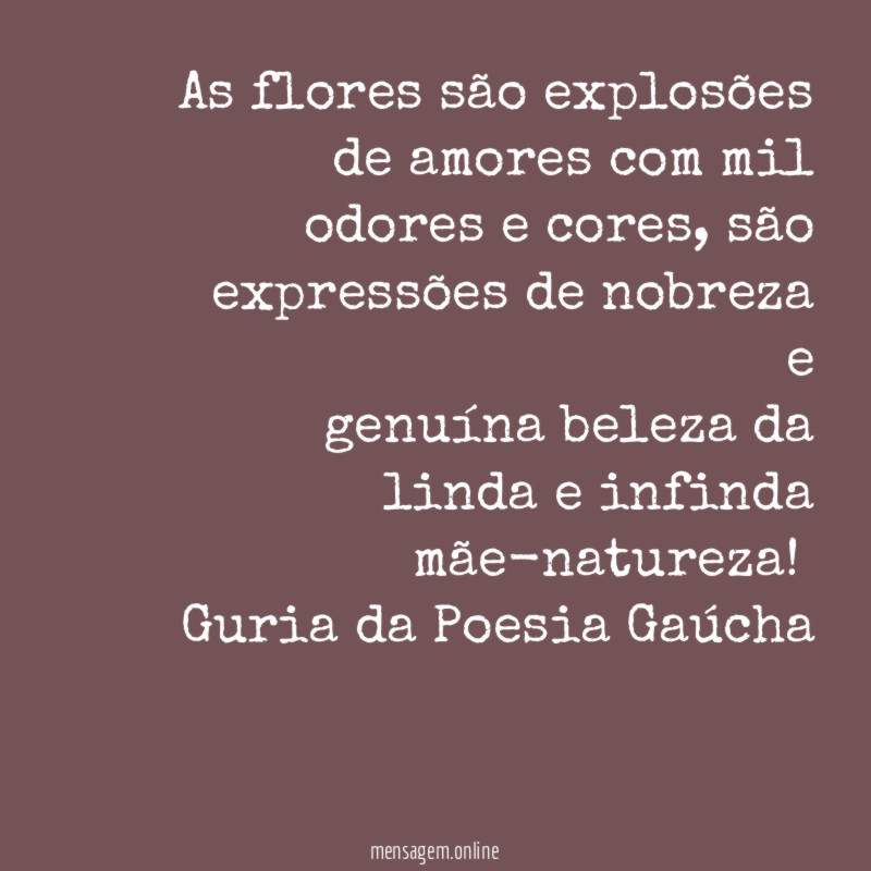 As flores são explosões de amores com mil odores
