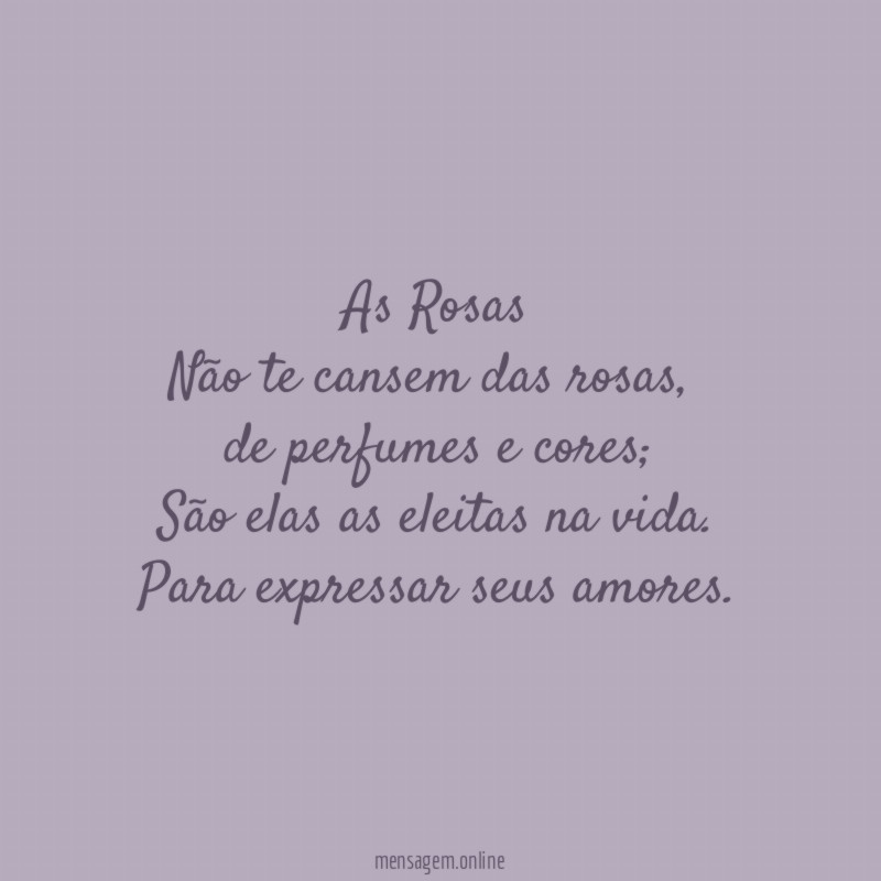 As Rosas Não te cansem das rosas