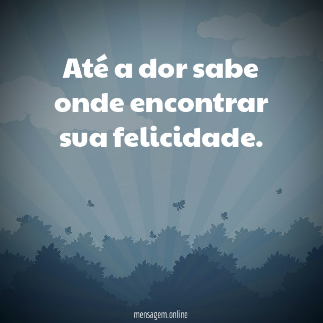 Até a dor sabe onde encontrar sua felicidade