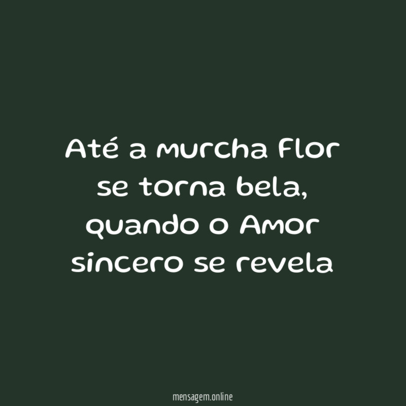 Até a murcha Flor se torna bela