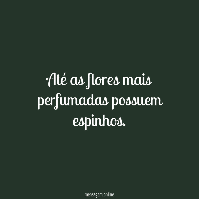 Até as flores mais perfumadas possuem espinhos