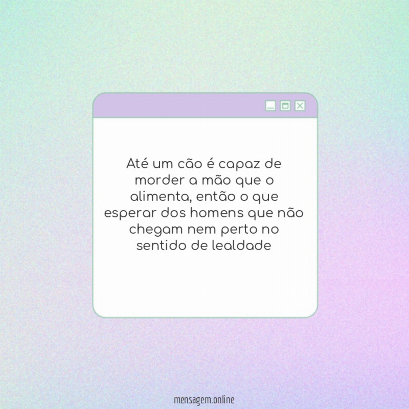 até um cão é capaz de morder a