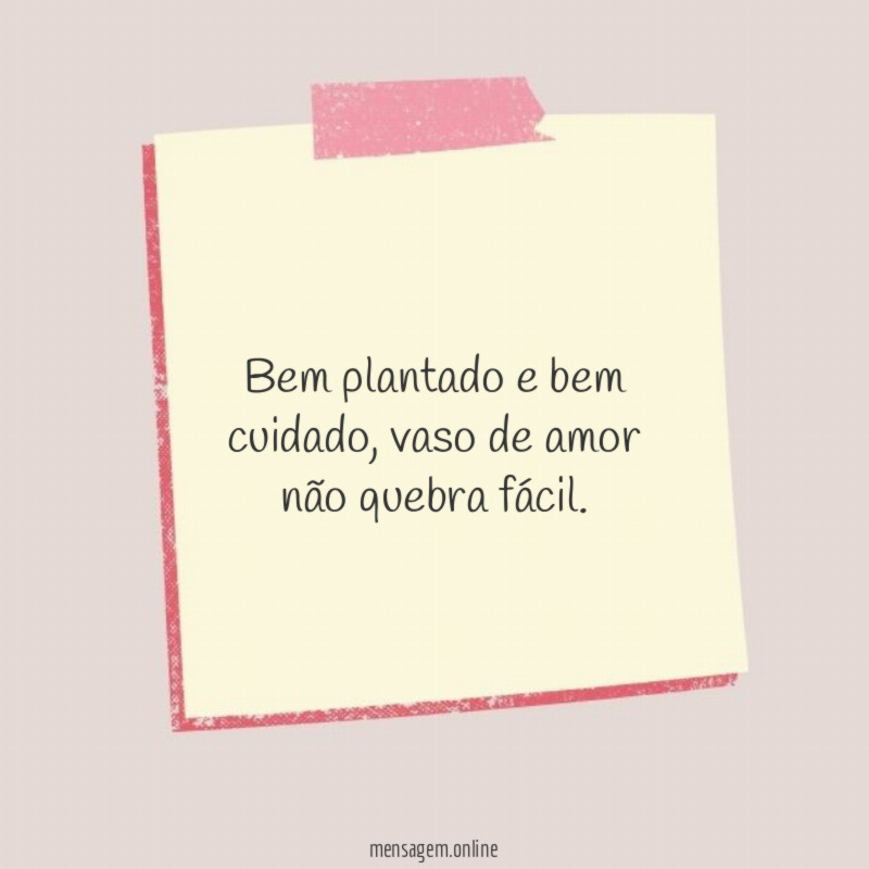 Bem plantado e bem cuidado
