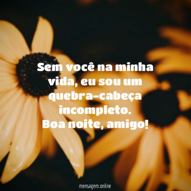 Boa noite, amigo
