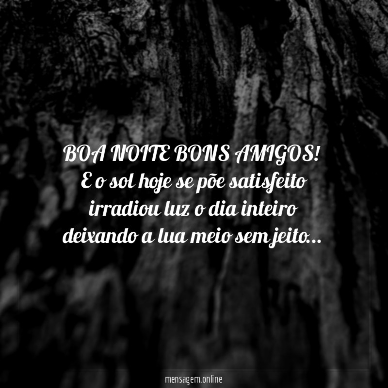 BOA NOITE BONS AMIGOS!