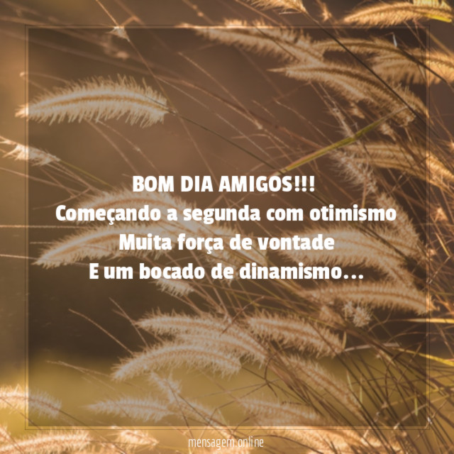 BOM DIA AMIGOS!!!
Começando a segunda com otimismo
Muita força de vontade
E um bocado de dinamismo…