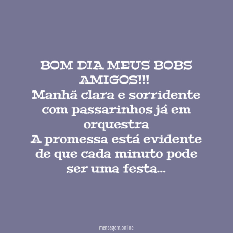 BOM DIA MEUS BOBS AMIGOS!!!