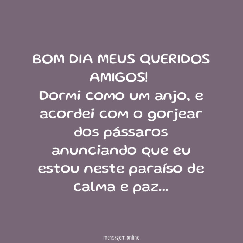 BOM DIA MEUS QUERIDOS AMIGOS!
Dormi como um anjo, e acordei com o gorjear dos pássaros anunciando que eu estou neste paraíso de calma e paz…