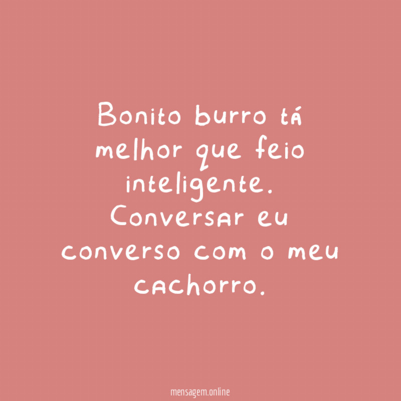 Bonito burro tá melhor que feio inteligente