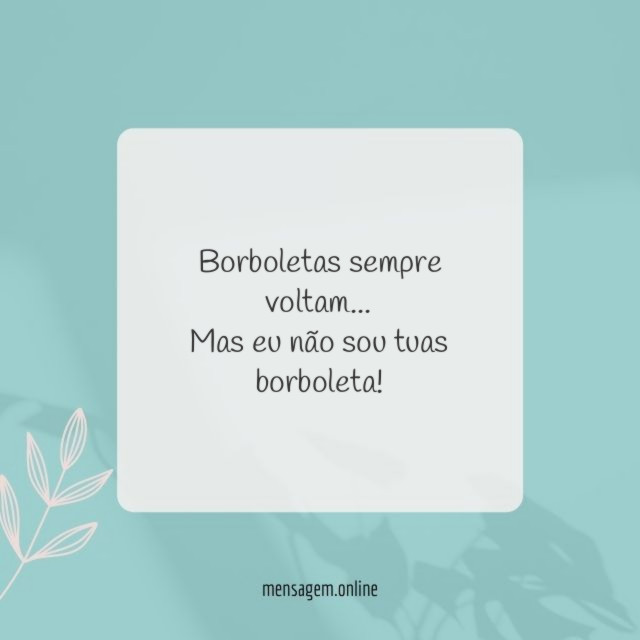 Borboletas sempre voltam