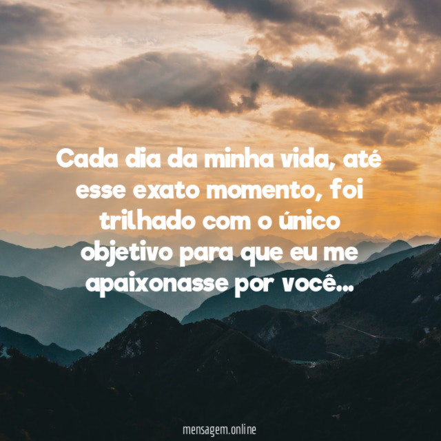 Cada dia da minha vida