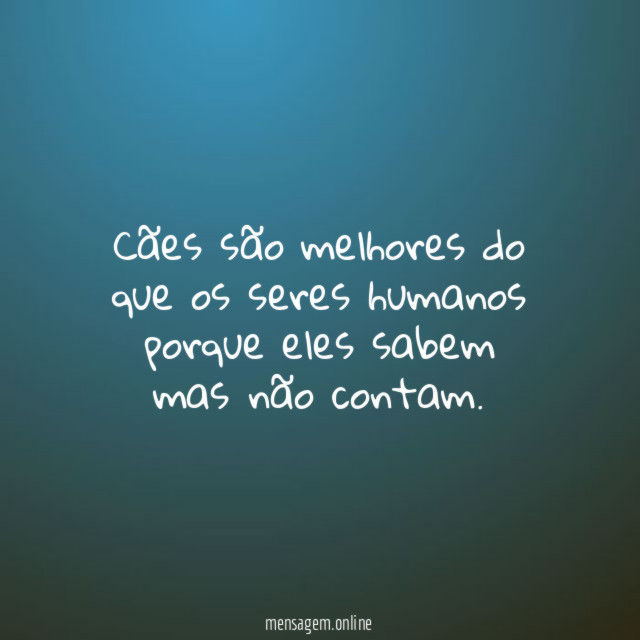 Cães são melhores do que os seres humanos