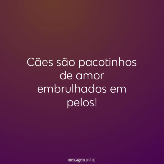 Cães são pacotinhos de amor embrulhados em pelos