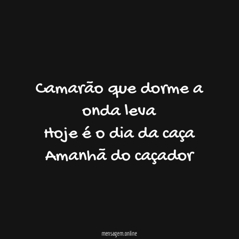 Camarão que dorme a onda leva Hoje é