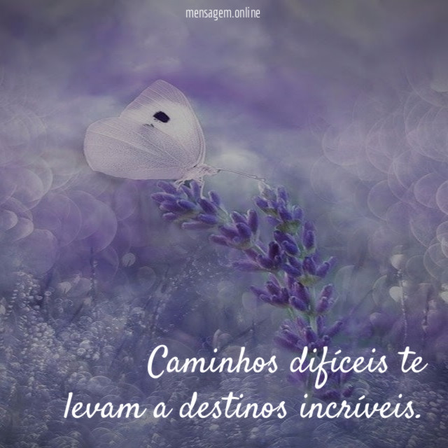 Caminhos difíceis te levam a destinos incríveis