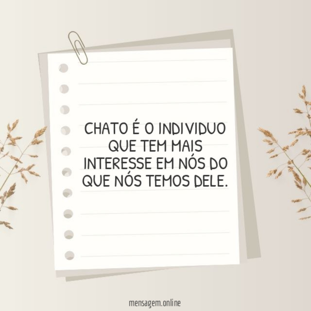 Chato é o individuo