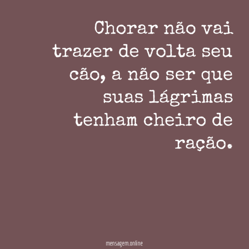 Chorar não vai trazer de volta seu cão