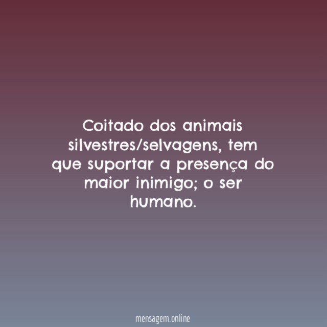 Coitado dos animais silvestres/selvagens