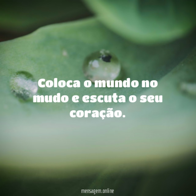 Coloca o mundo no mudo e escuta o seu coração