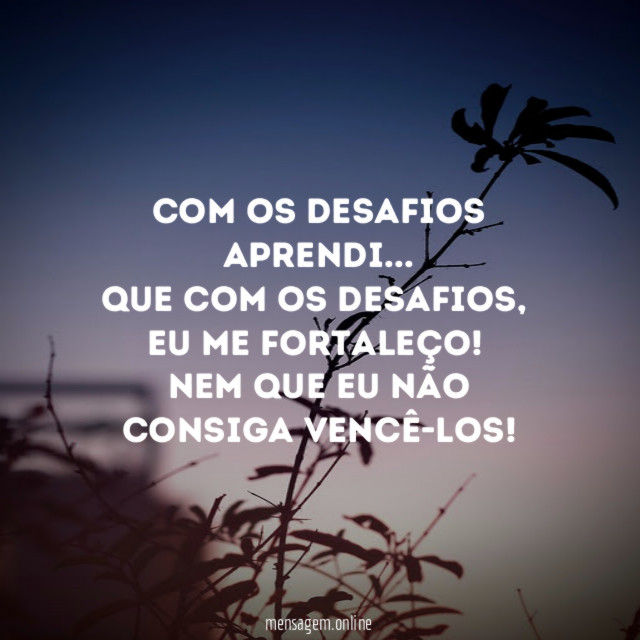 Com os Desafios