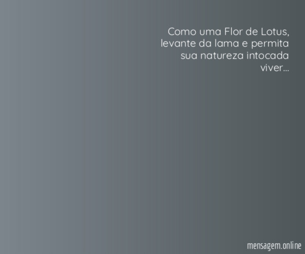 Como uma Flor de Lotus