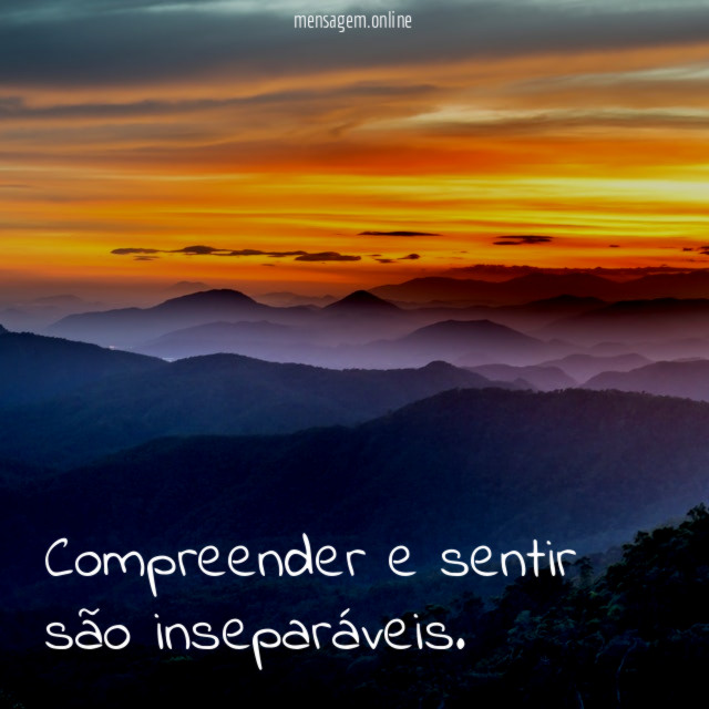 Compreender e sentir são inseparáveis