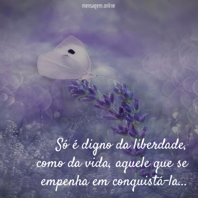 Conquista