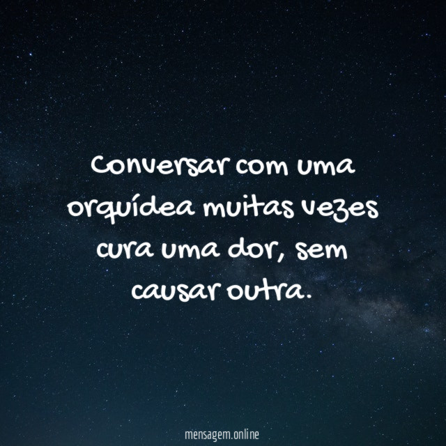 Conversar com uma orquídea muitas vezes cura uma dor