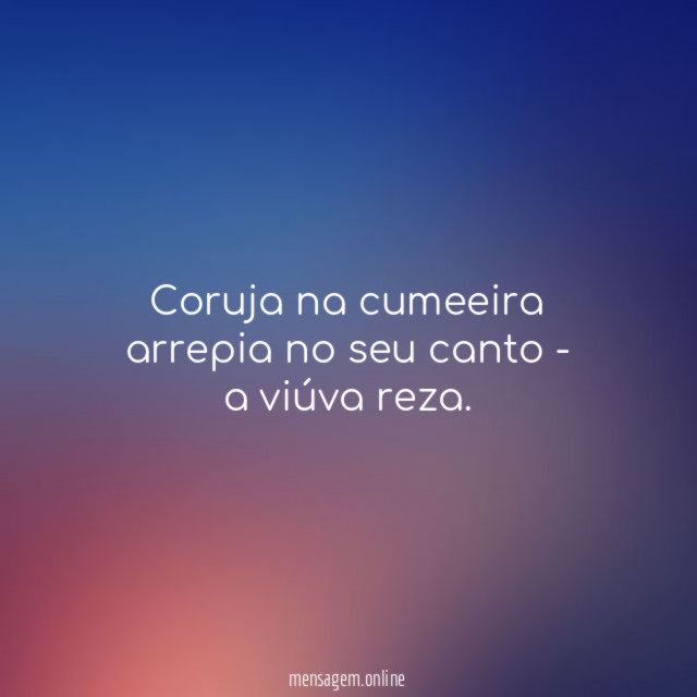Coruja na cumeeira arrepia no seu canto - a viúva reza