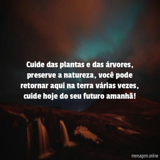 Cuide das plantas e das árvores