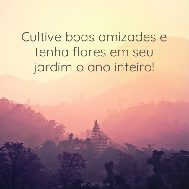 Cultive boas amizades e tenha flores em seu jardim o ano inteiro