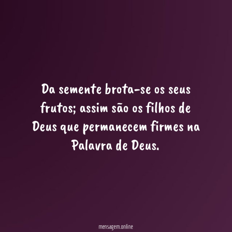 Da semente brota-se os seus frutos