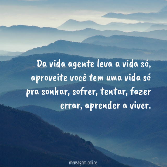 Da vida agente leva a vida só
