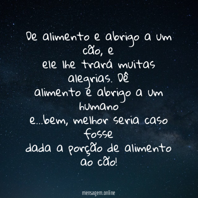 De alimento e abrigo a um cão