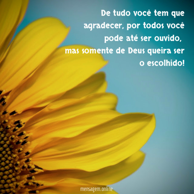 De tudo você tem que agradecer