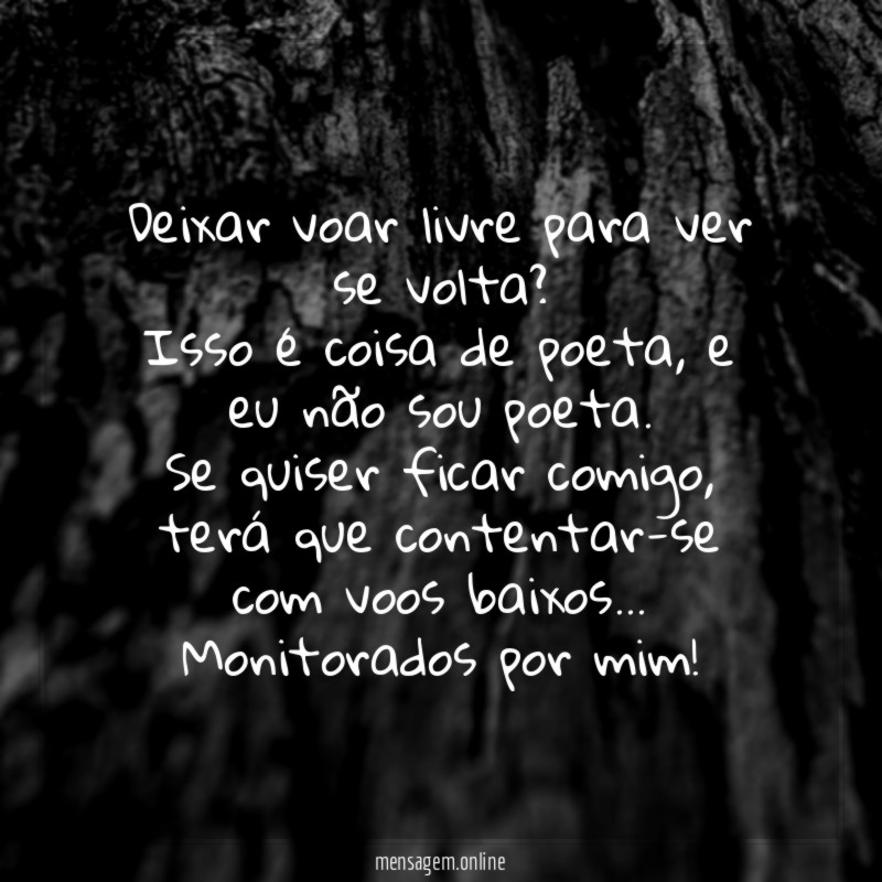 Deixar voar livre para ver se volta?