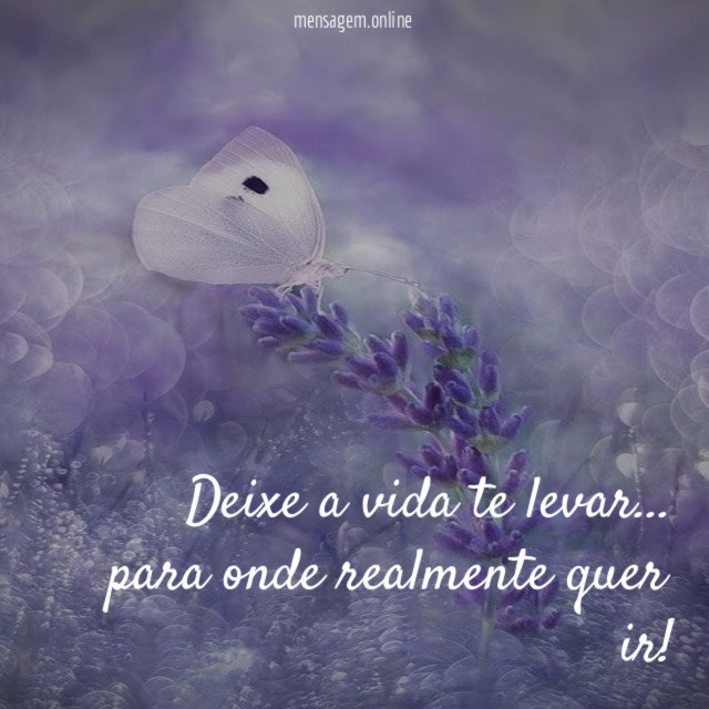 Deixe a vida te levar