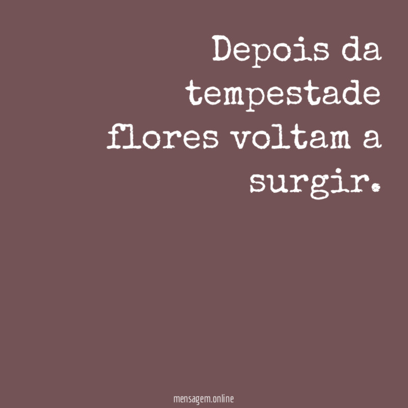 Depois da tempestade flores voltam a surgir