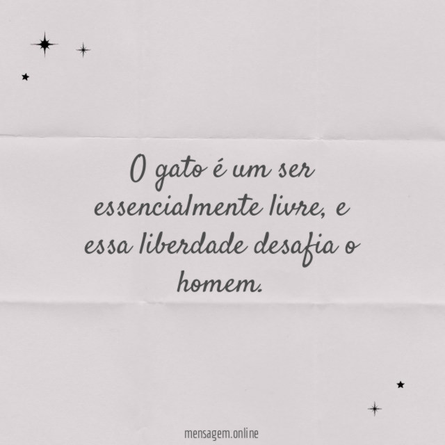 Desafio para os homens
