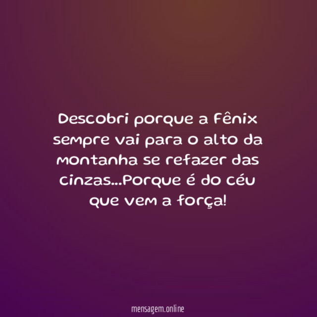 Descobri porque a Fênix sempre vai para