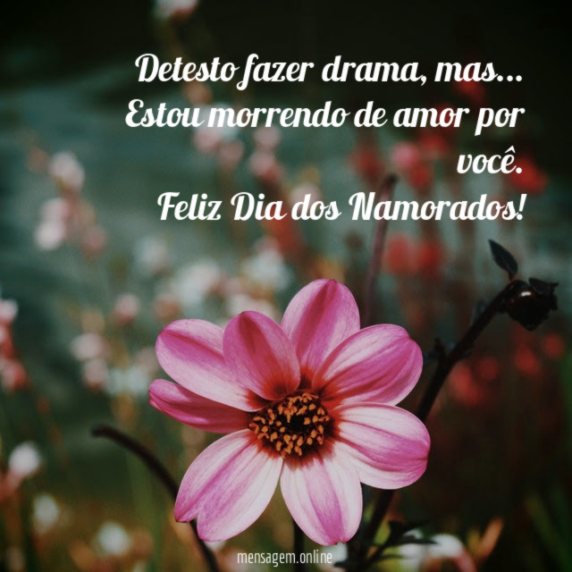 Detesto fazer drama