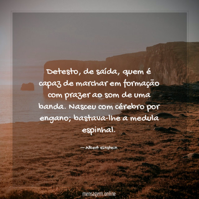 Detesto
