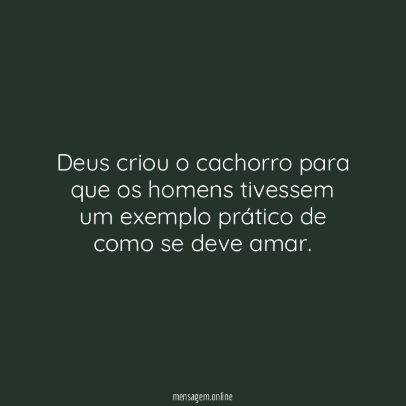 Deus criou o cachorro para que os homens