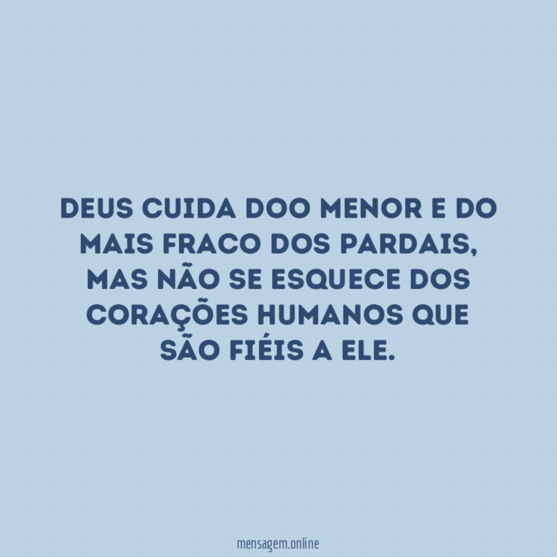 Deus cuida doo menor e do mais fraco dos pardais