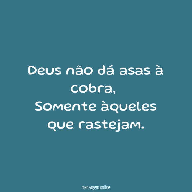Deus não dá asas à cobra